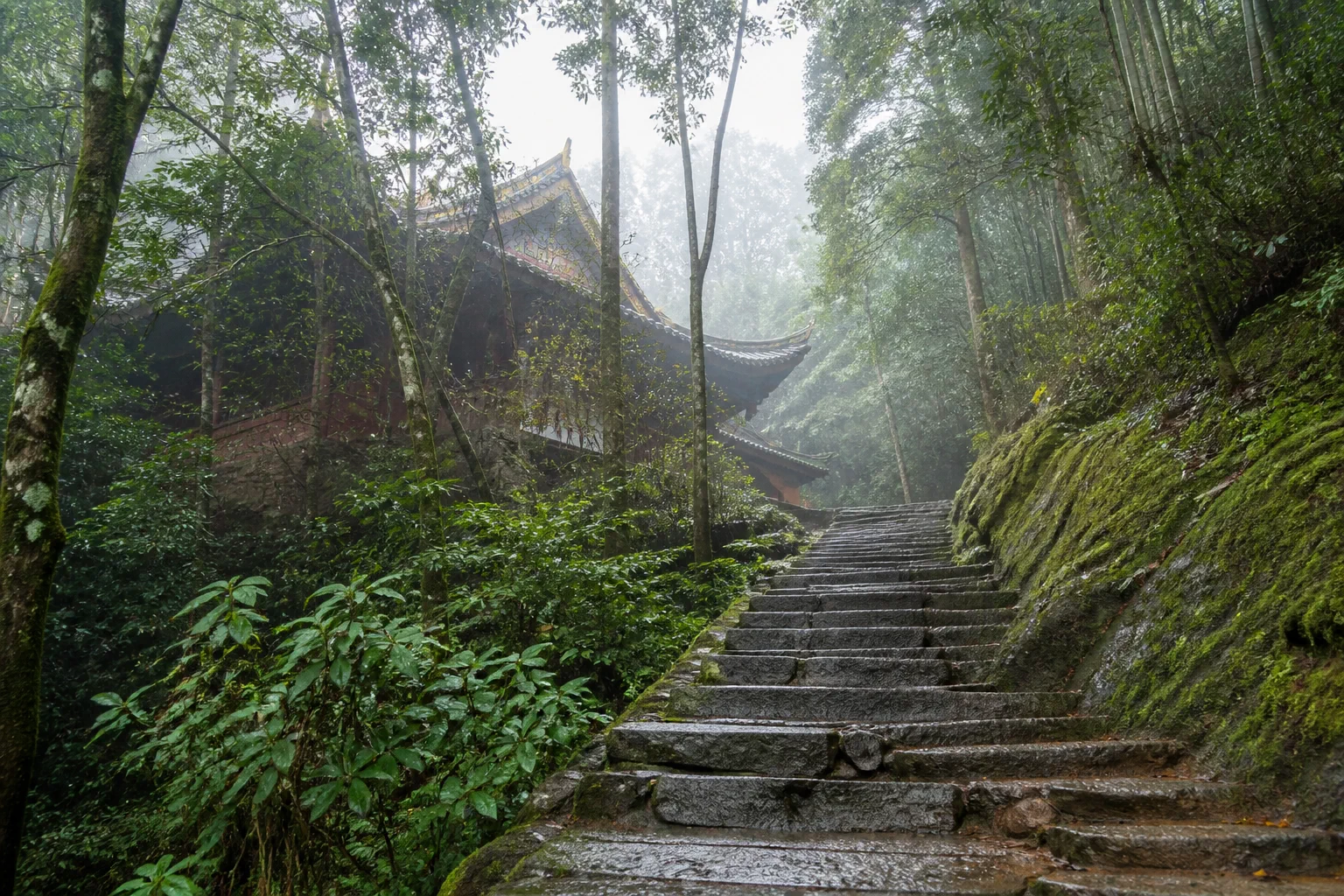 峨眉山雾林中的石阶与古建氛围