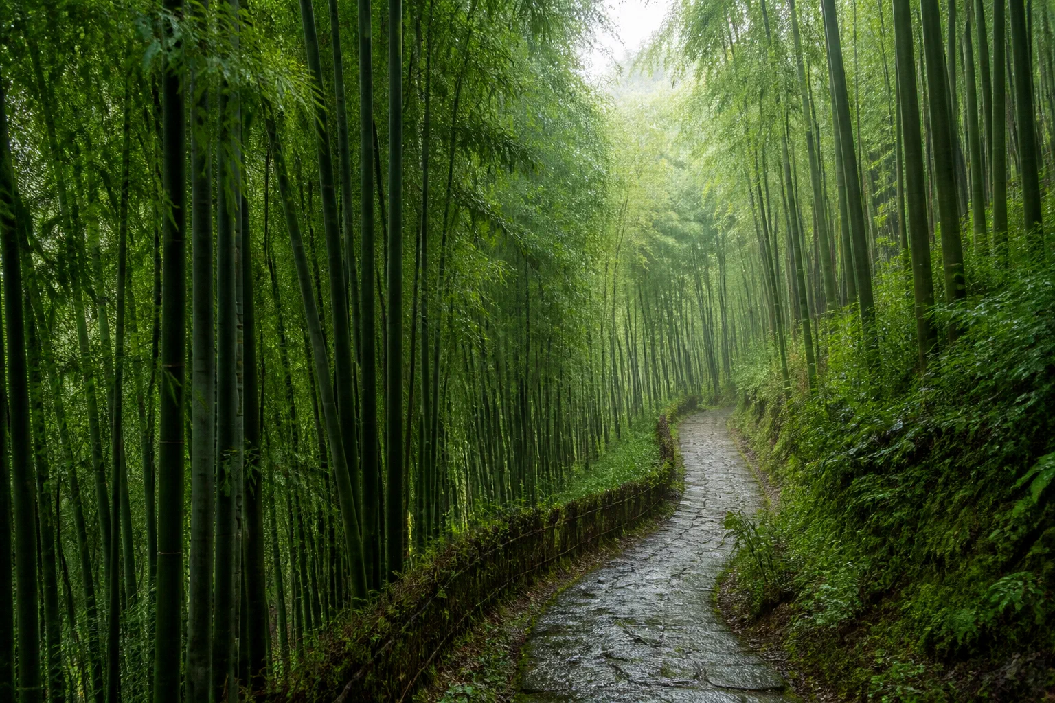 宜宾蜀南竹海两日攻略：竹林、古镇与雨天路线